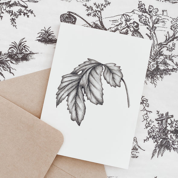 Chrysanthemum Leaf Card